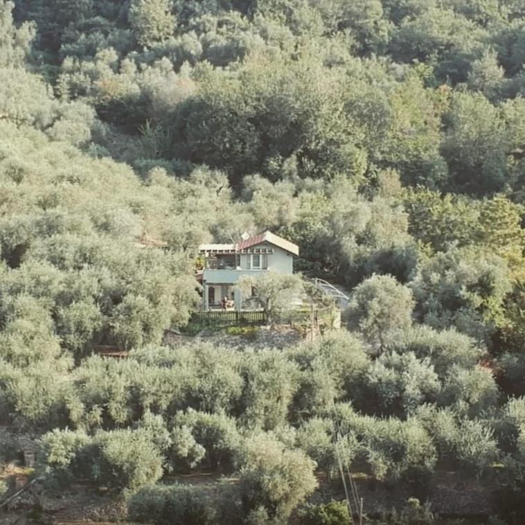 Maison d'hôtes Terre Di Garlenda Extérieur photo