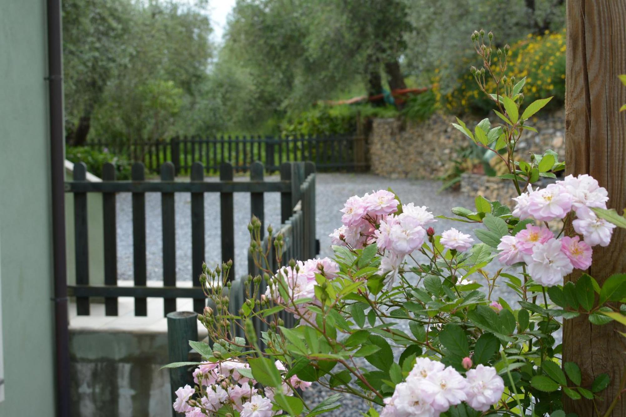 Maison d'hôtes Terre Di Garlenda Extérieur photo